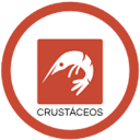 Crustaceos Crustaceos